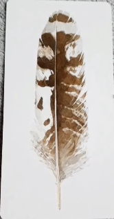 Divine Feather Messenger
